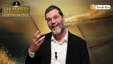 Les 3 Pépites de la Paracha Ki-Tavo