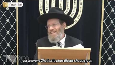 Qui est ton meilleur ami ?