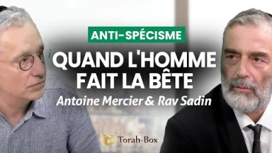 Antispécisme : quand l'homme fait la bête | Antoine Mercier & Rav Sadin