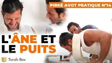 Pirké Avot pratique n°14 - L'âne et le puits