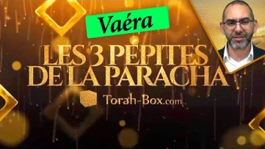 Les 3 Pépites de la Paracha Vaéra