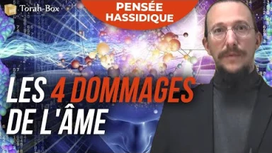 Décharger l'âne (une pensée de 'hassidout)