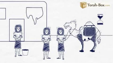 Draw My Paracha : Vaéra