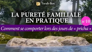 La Pureté Familiale en pratique (n°10) - Comment se comporter lors des jours de « pricha » ?