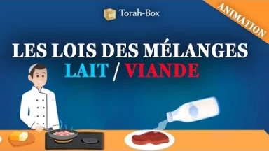 Mélanges lait/viande : bases de l'interdit