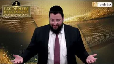 Les 3 Pépites de la Paracha Noa'h