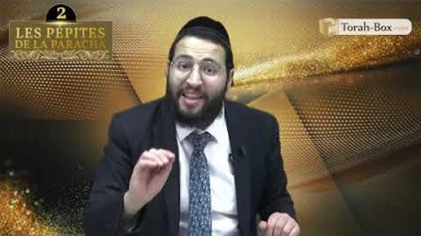 Les 3 pépites de la Paracha Tazria-Metsora
