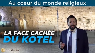 Au cœur du monde religieux : LA FACE CACHÉE DU KOTEL, tôt le matin