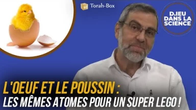 D.ieu dans la Science ! L'œuf et le poussin, les mêmes atomes pour un super Légo !