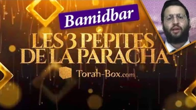 Les 3 pépites de la Paracha Bamidbar
