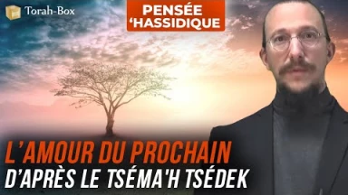L’amour du prochain d’après le Tséma'h Tsédek