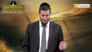 Les 3 Pépites de la Paracha Chéla'h Lekha