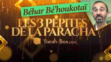 Les 3 Pépites de la Paracha Béhar Bé'houkotaï