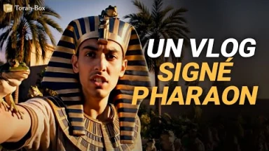 VLOG ultra rare de Pharaon - Humour