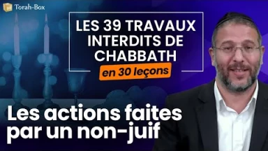 Les 39 travaux interdits le Chabbath en 30 leçons - web-formation facile - N°28 : Les actions faites par un non-Juif