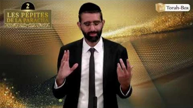 Les 3 Pépites de la Paracha Béhaalotékha