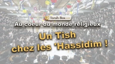 Au cœur du monde religieux : un TISH chez les 'HASSIDIM !