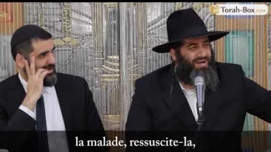 Comment choisir son Rav ? (Rav Chaoulov)
