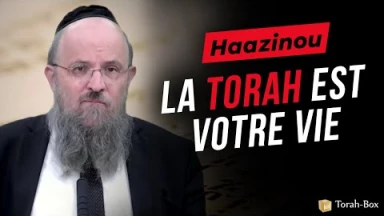 Le Message de la Paracha Haazinou : La Torah est votre vie