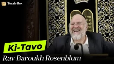 La Paracha Ki-Tavo avec Rav Rosenblum