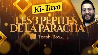 Les 3 Pépites de la Paracha Ki-Tavo
