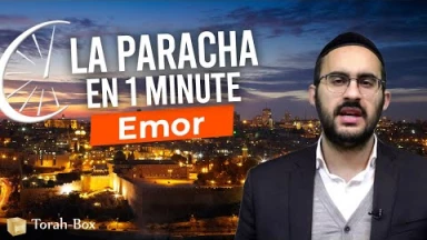 La Paracha en 1 minute - Emor