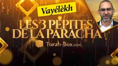 Les 3 Pépites de la Paracha Vayélèkh