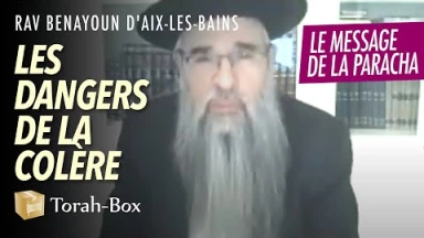 Le message de la Paracha : Vayichla'h - Les dangers de la colère