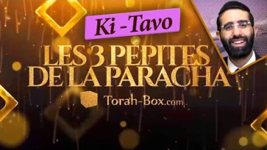 Les 3 Pépites de la Paracha Ki-Tavo