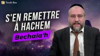 Le Message de la Paracha - Bechala'h : S'en remettre à Hachem