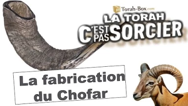 La Torah, c'est pas sorcier : Fabrication d'un Chofar