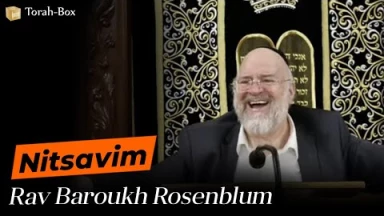 La Paracha Nitsavim avec Rav Rosenblum