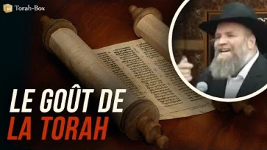 Le goût de la Torah