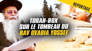 Reportage sur le Tombeau du Rav Ovadia Yossef : 3450 bénédictions !