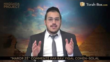 Haggada Project n°21 - "Maror Zé"