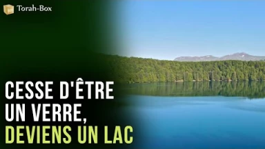 Cesse d'être un verre, deviens un lac