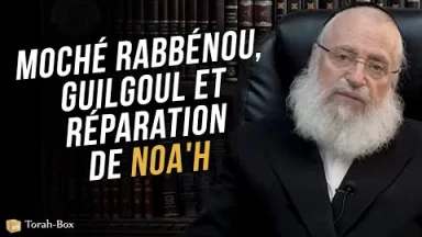 Moché Rabbénou, Guilgoul et réparation de Noa'h