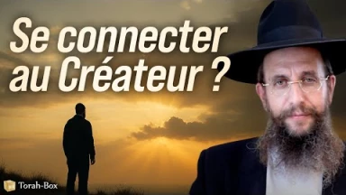 Trouver le lien avec le Créateur