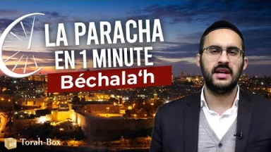 La Paracha en 1 minute - Béchala'h