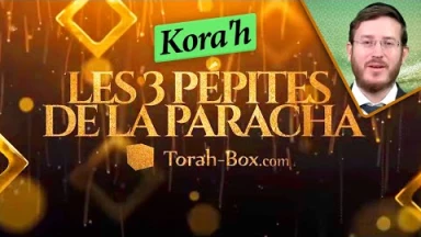 Les 3 Pépites de la Paracha Kora'h