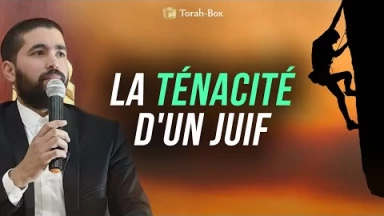 La ténacité d'un Juif