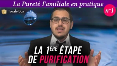 La Pureté Familiale en pratique (n°1) - Introduction & 1ère étape de purification