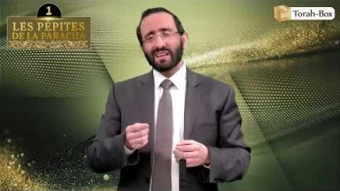 Les 3 Pépites de la Paracha Ki-Tissa #2