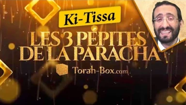 Les 3 Pépites de la Paracha Ki-Tissa