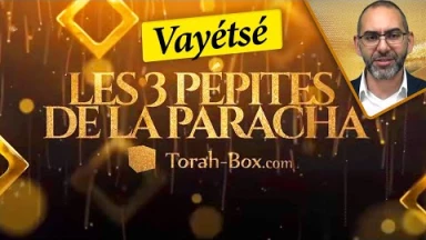 Les 3 Pépites de la Paracha Vayétsé