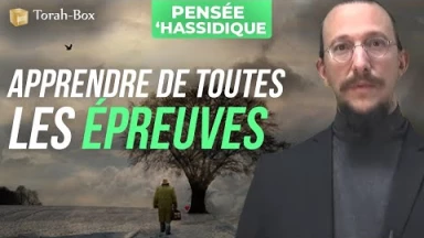 Apprendre de toutes les épreuves (une pensée de 'hassidout)