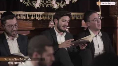 Kinot de Ticha Béav n°8 : Ad Ane Tsvi Mouda'h / עַד אָן צְבִי מֻדָּח