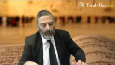 [Vidéo] Pourquoi allumer un Feu à Lag Baomer ?