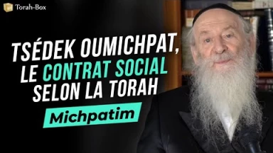 Michpatim : Tsédek ou Michpat, le contrat social selon la Torah