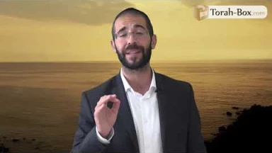 Vision 'Hassidique de la Paracha - Réé